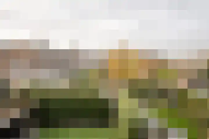 Heemsteedse Dreef 83 Heemstede thumbnail 41