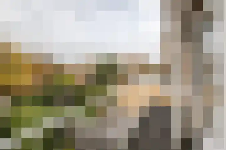 Heemsteedse Dreef 83 Heemstede thumbnail 42