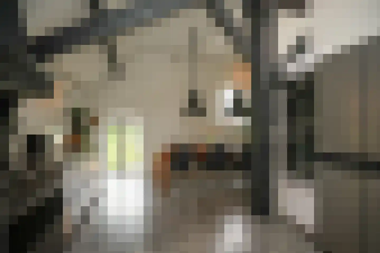Heemsteedseweg 32 Houten thumbnail 15