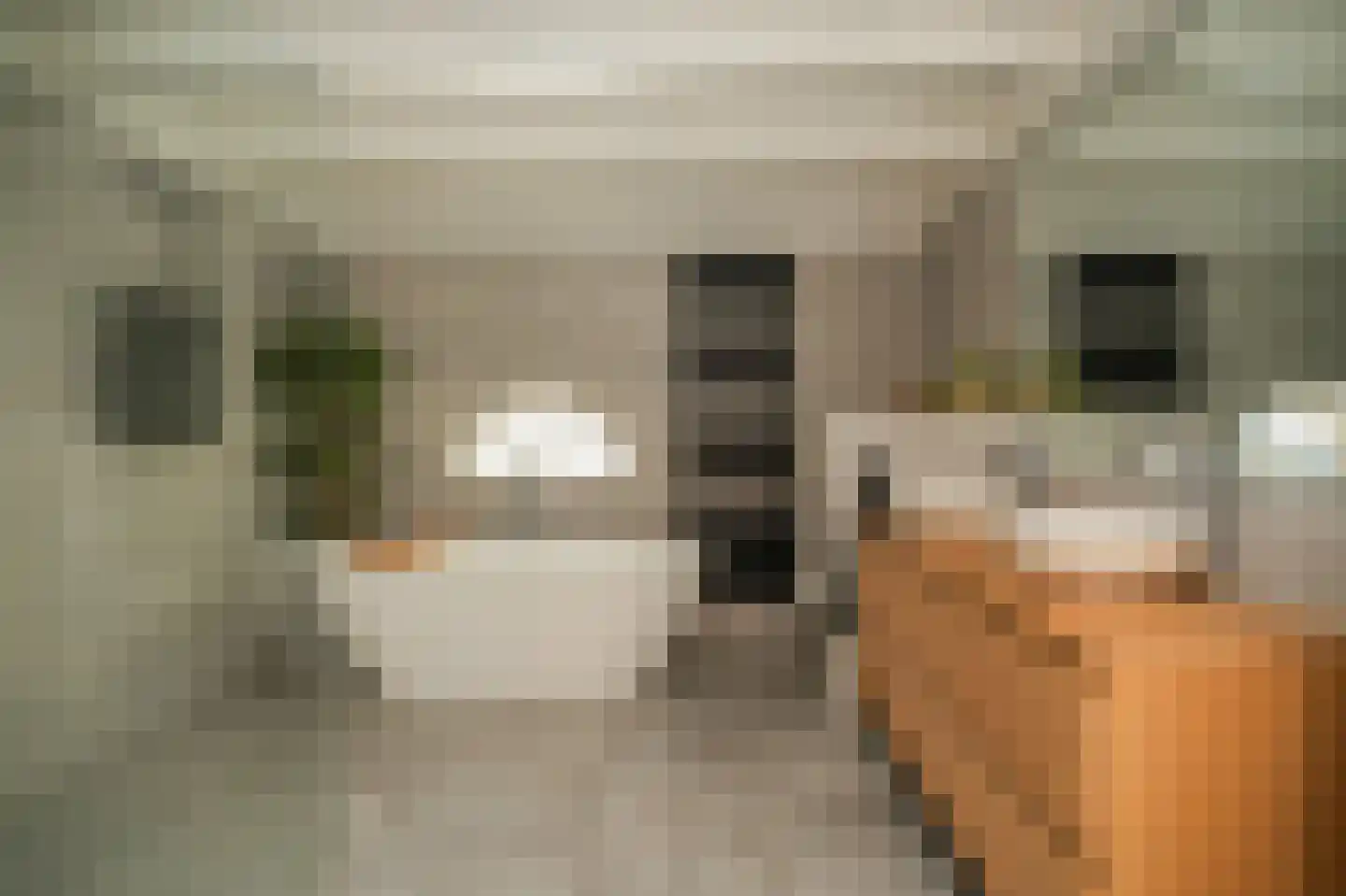 Heemsteedseweg 32 Houten thumbnail 20
