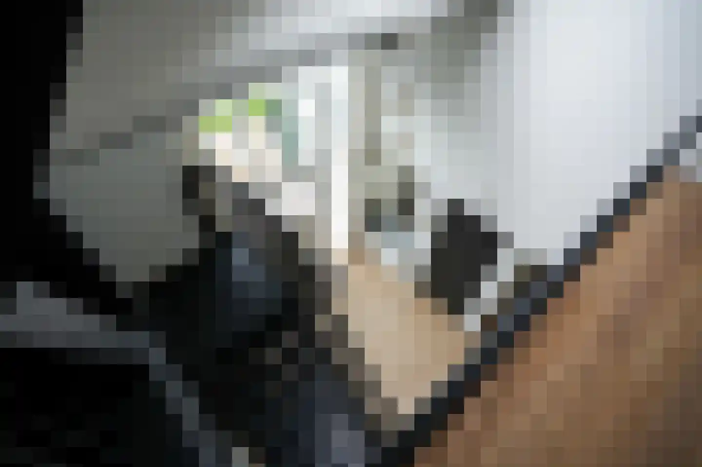 Heemsteedseweg 32 Houten thumbnail 23