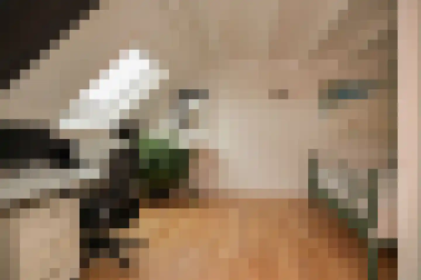 Heemsteedseweg 32 Houten thumbnail 31