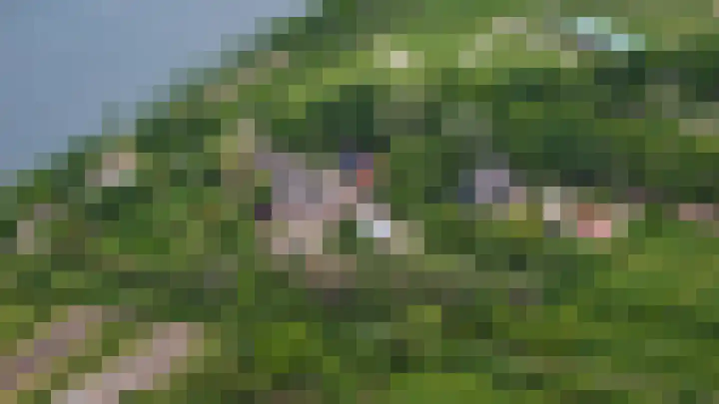 Heemsteedseweg 32 Houten thumbnail 50