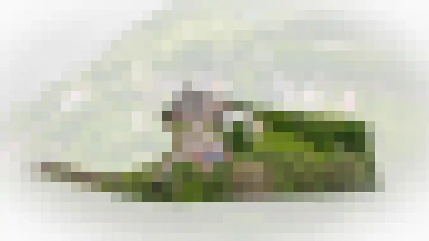Heemsteedseweg 32 Houten thumbnail 51