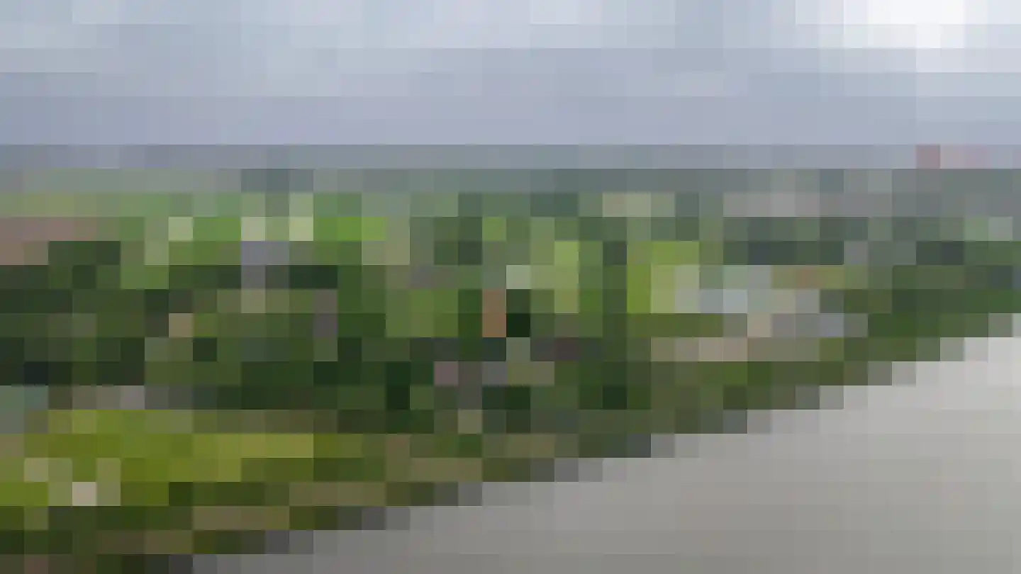 Heemsteedseweg 32 Houten thumbnail 53