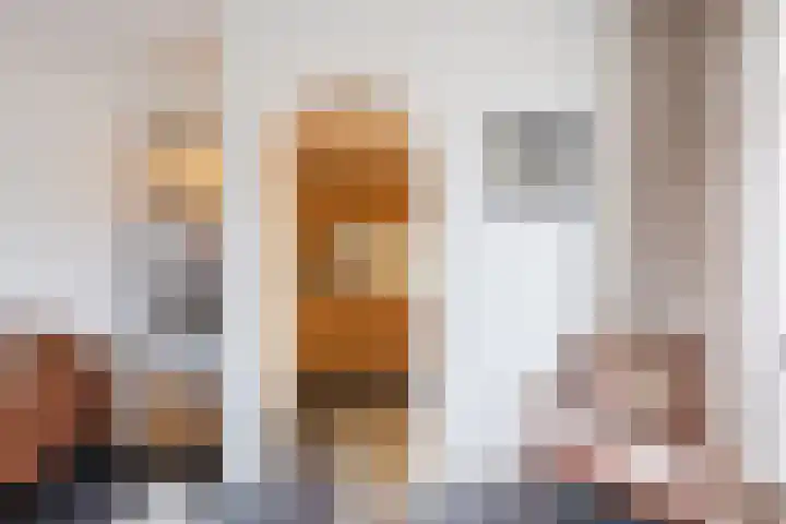 Heemsteres 19 Den Ham thumbnail 10