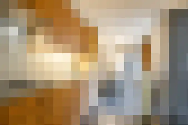 Heemsteres 19 Den Ham thumbnail 11
