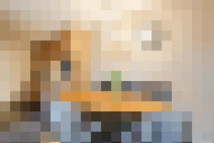 Heemsteres 19 Den Ham thumbnail 12