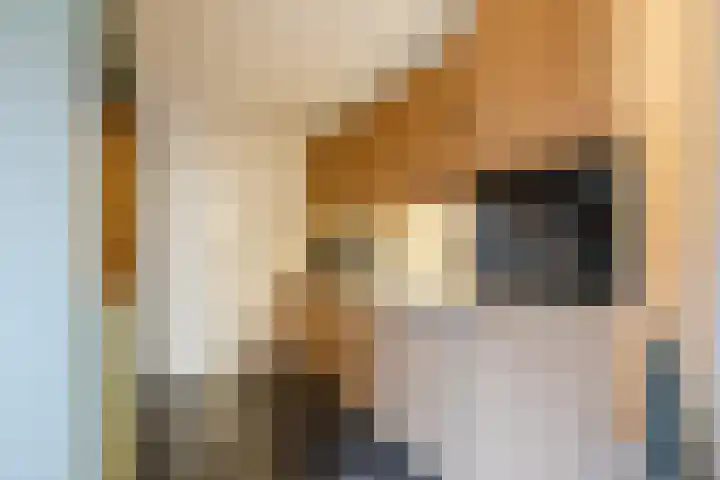 Heemsteres 19 Den Ham thumbnail 13