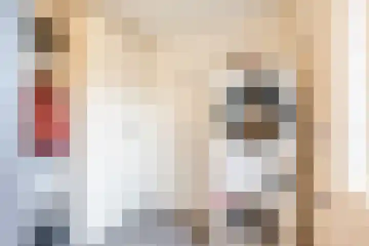 Heemsteres 19 Den Ham thumbnail 15