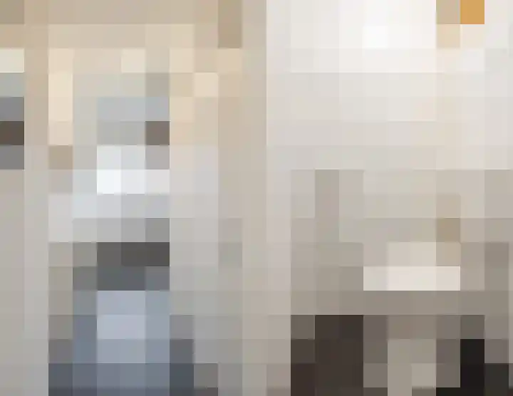 Heemsteres 19 Den Ham thumbnail 19