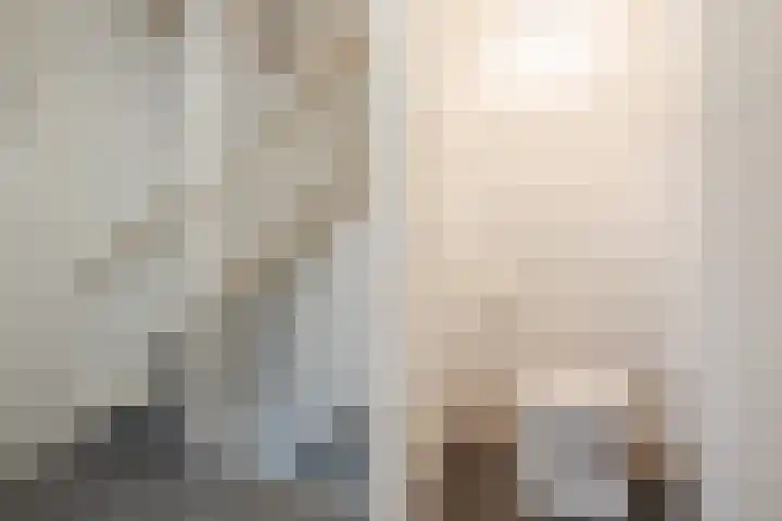 Heemsteres 19 Den Ham thumbnail 20