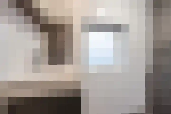 Heemsteres 19 Den Ham thumbnail 21