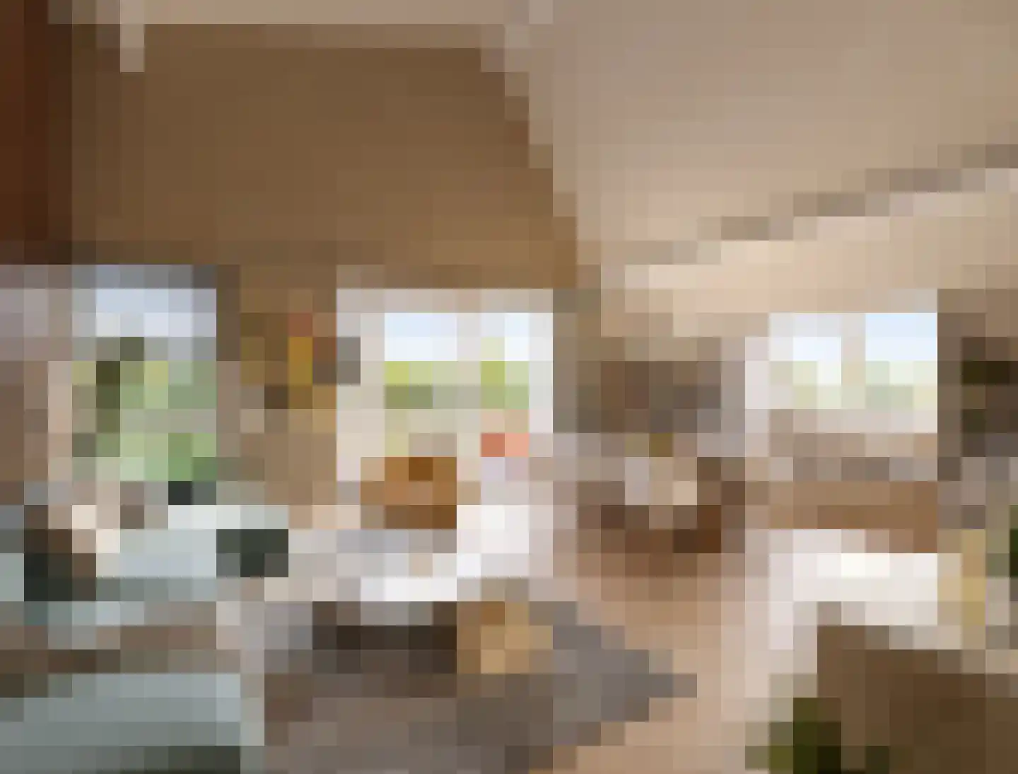 Heemsteres 19 Den Ham thumbnail 24