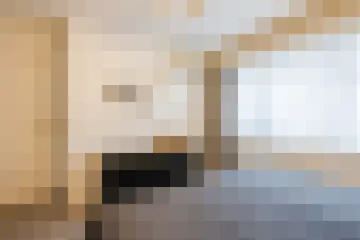 Heemsteres 19 Den Ham thumbnail 24