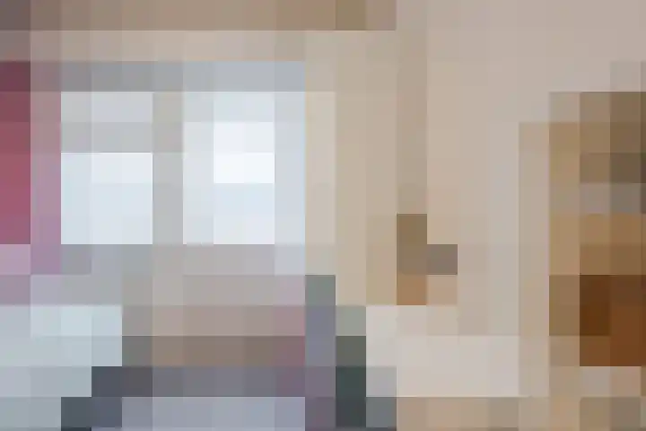 Heemsteres 19 Den Ham thumbnail 27