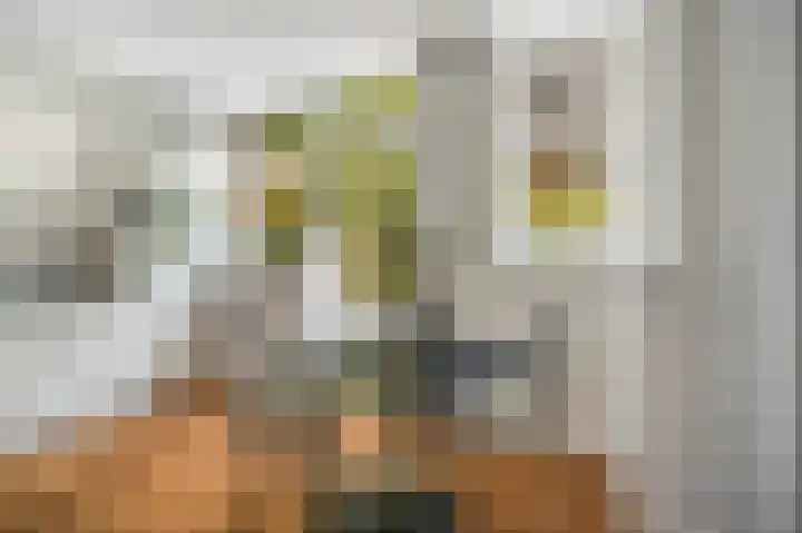 Heemsteres 19 Den Ham thumbnail 29