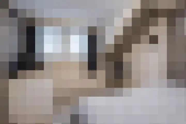 Heemsteres 19 Den Ham thumbnail 30