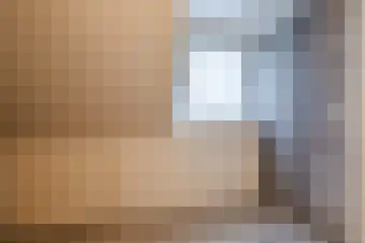 Heemsteres 19 Den Ham thumbnail 31