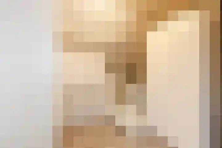 Heemsteres 19 Den Ham thumbnail 32