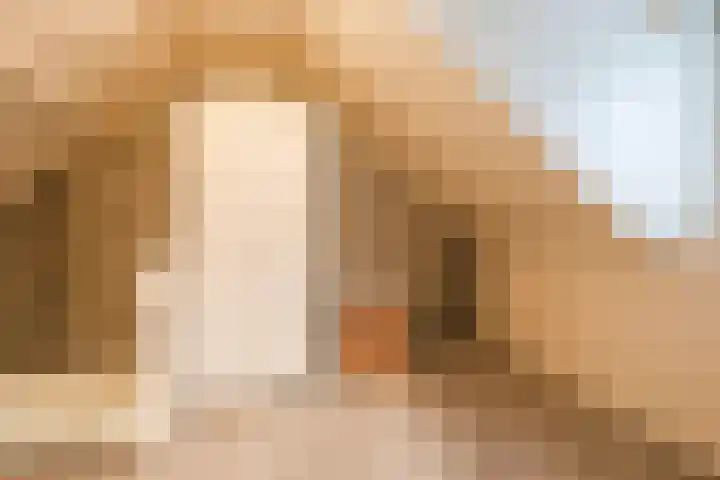 Heemsteres 19 Den Ham thumbnail 33