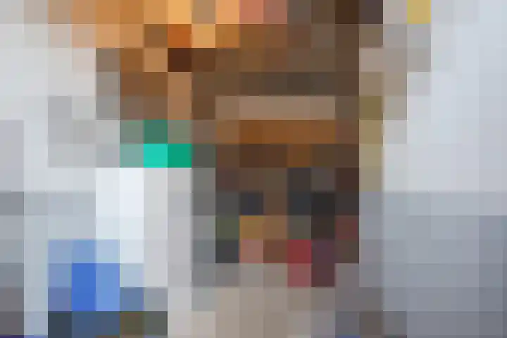 Heemsteres 19 Den Ham thumbnail 35