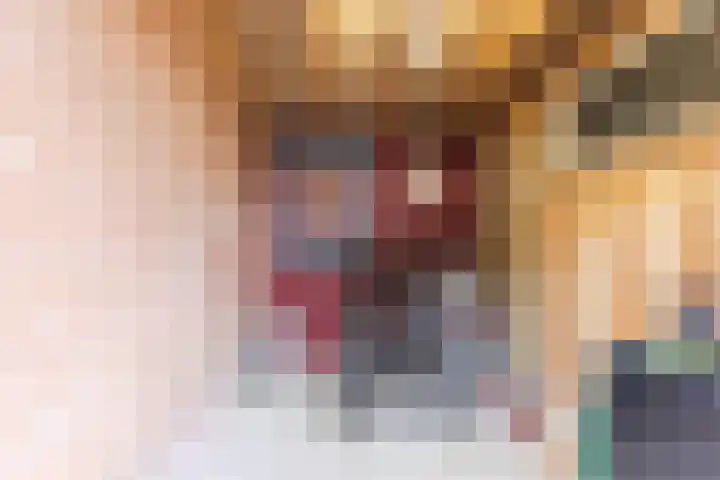 Heemsteres 19 Den Ham thumbnail 36