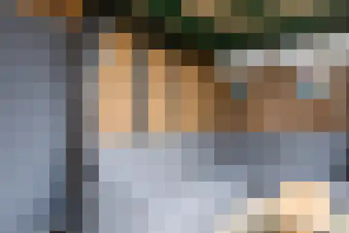 Heemsteres 19 Den Ham thumbnail 38