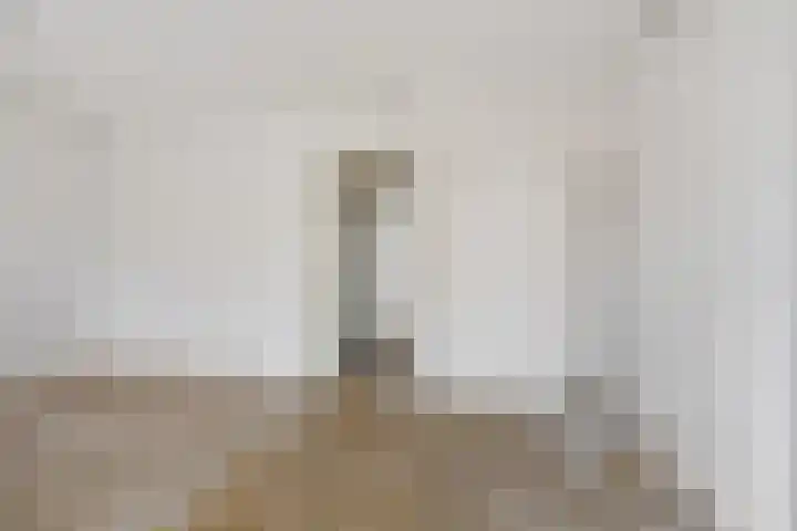 Heemsteres 19 Den Ham thumbnail 39