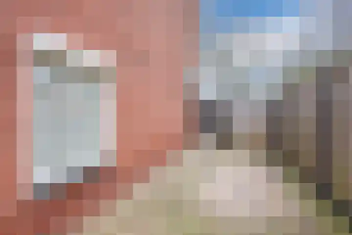 Heemsteres 19 Den Ham thumbnail 44