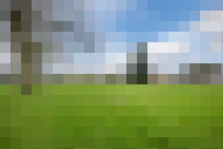 Heemsteres 19 Den Ham thumbnail 45