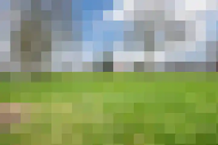 Heemsteres 19 Den Ham thumbnail 46