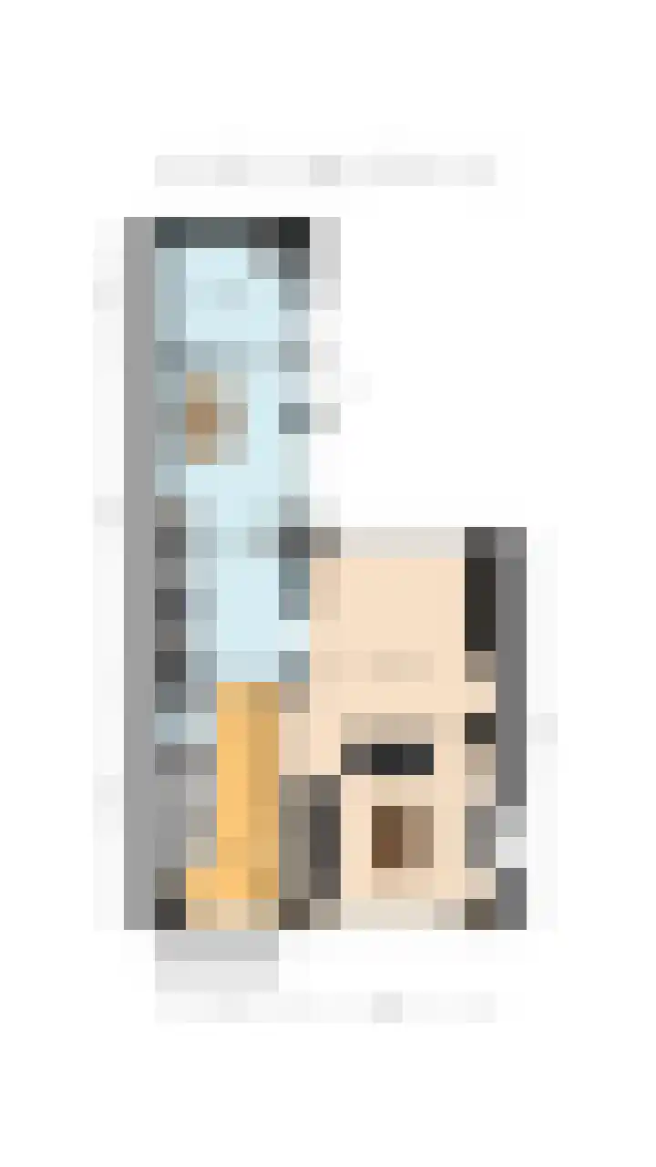 Heemsteres 19 Den Ham thumbnail 47