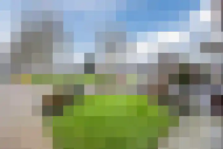 Heemsteres 19 Den Ham thumbnail 5