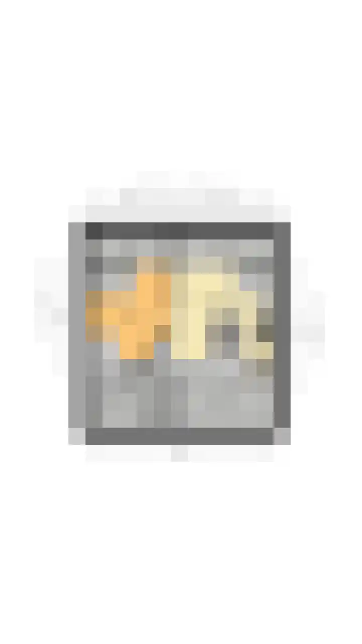 Heemsteres 19 Den Ham thumbnail 50
