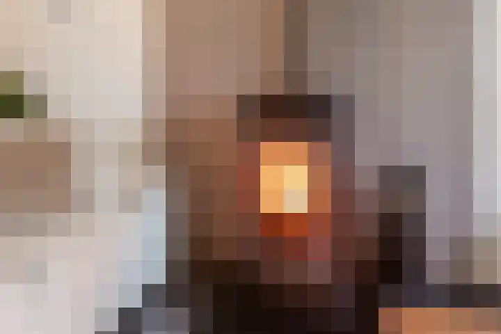 Heemsteres 19 Den Ham thumbnail 8