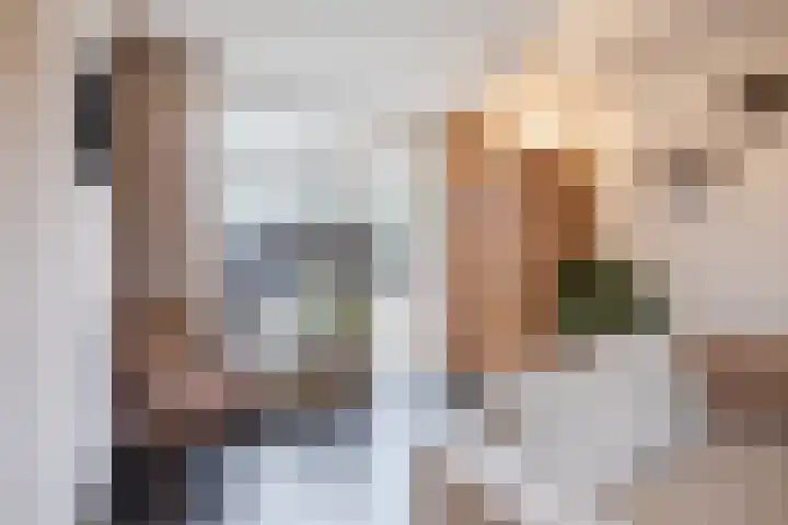 Heemsteres 19 Den Ham thumbnail 9