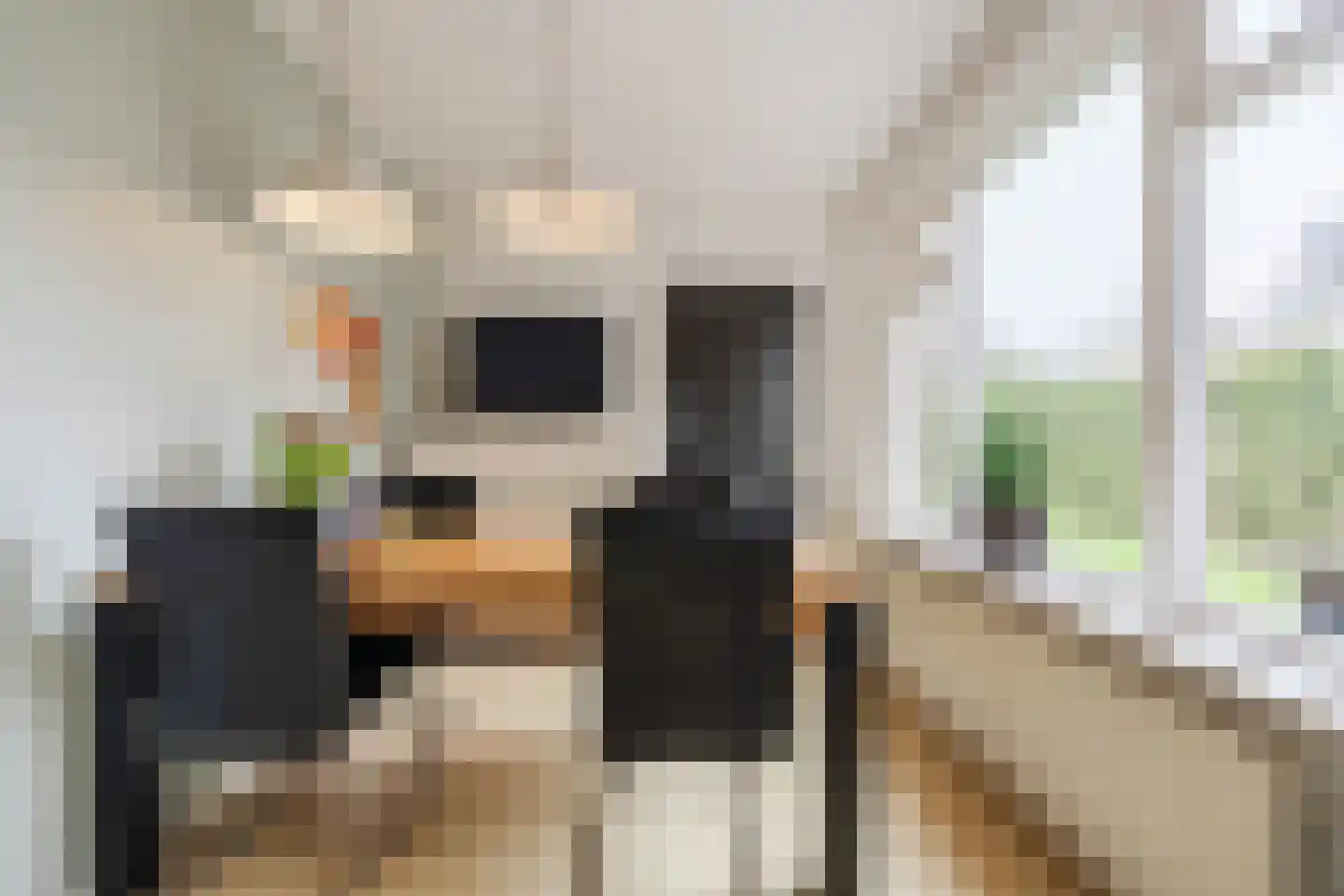 Heemsteres 35 Den Ham thumbnail 10