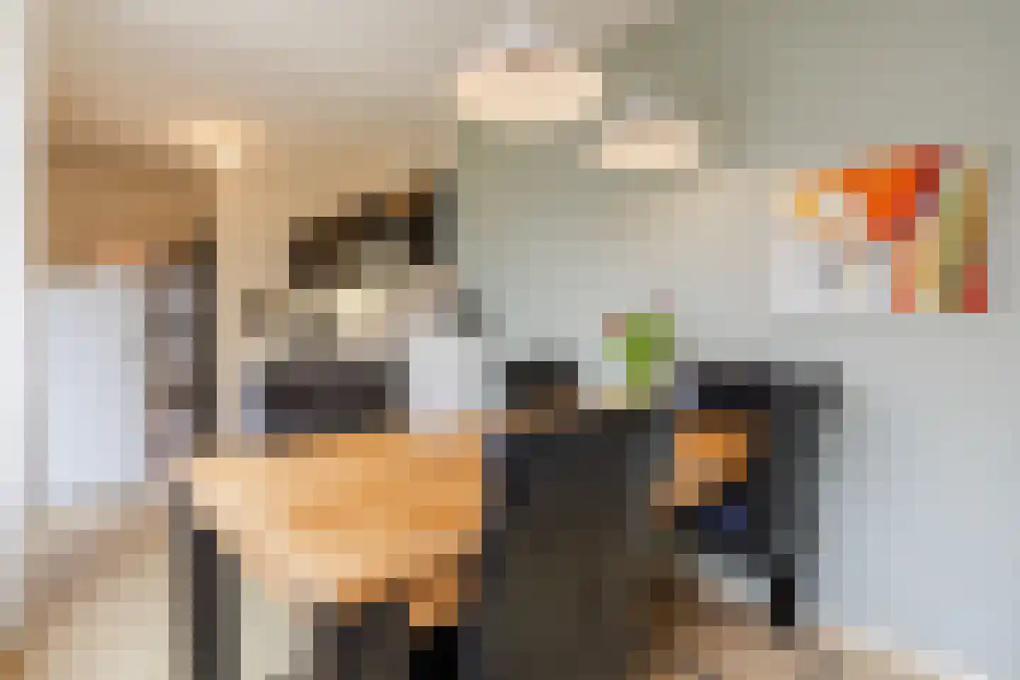 Heemsteres 35 Den Ham thumbnail 11