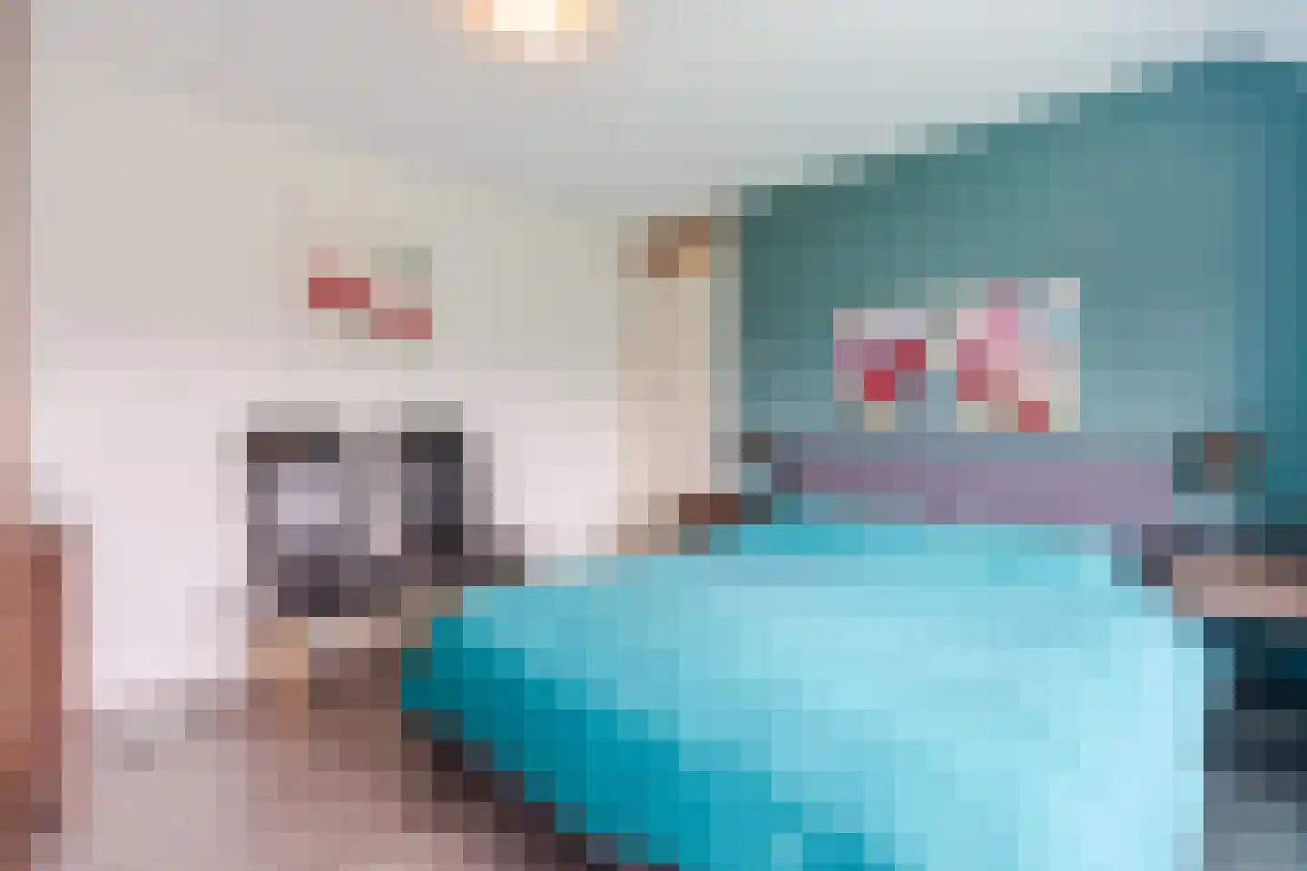 Heemsteres 35 Den Ham thumbnail 17