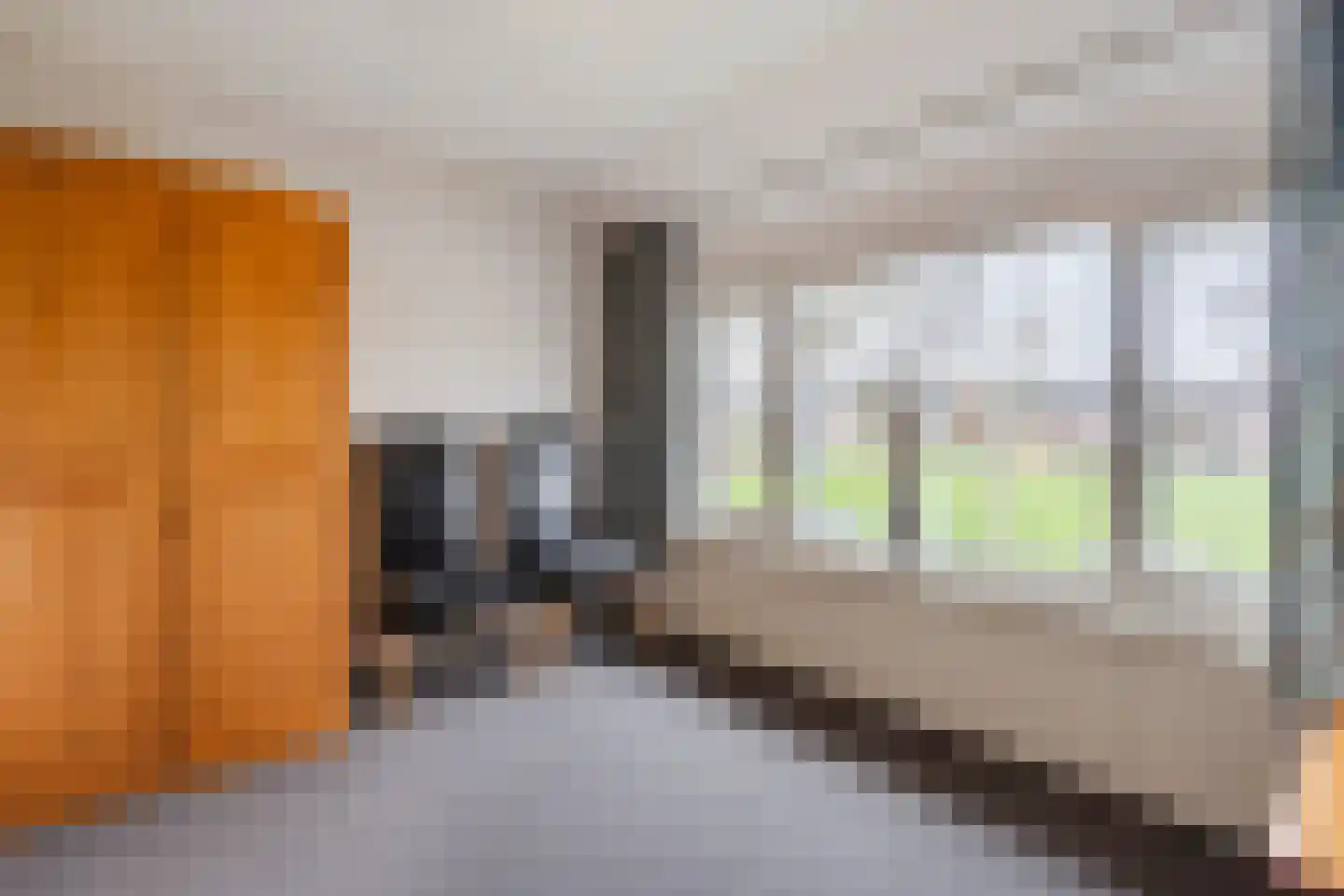 Heemsteres 35 Den Ham thumbnail 21