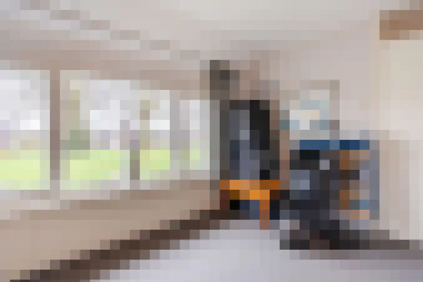 Heemsteres 35 Den Ham thumbnail 22