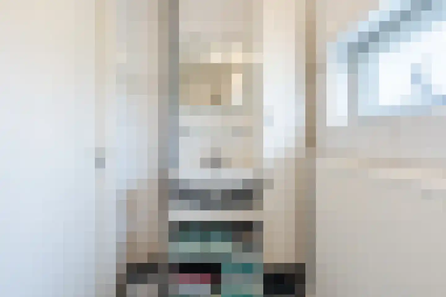 Heemsteres 35 Den Ham thumbnail 24