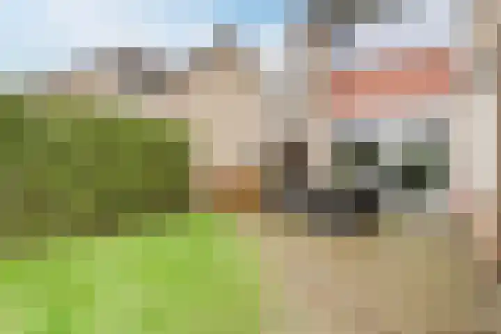 Heemsteres 35 Den Ham thumbnail 31