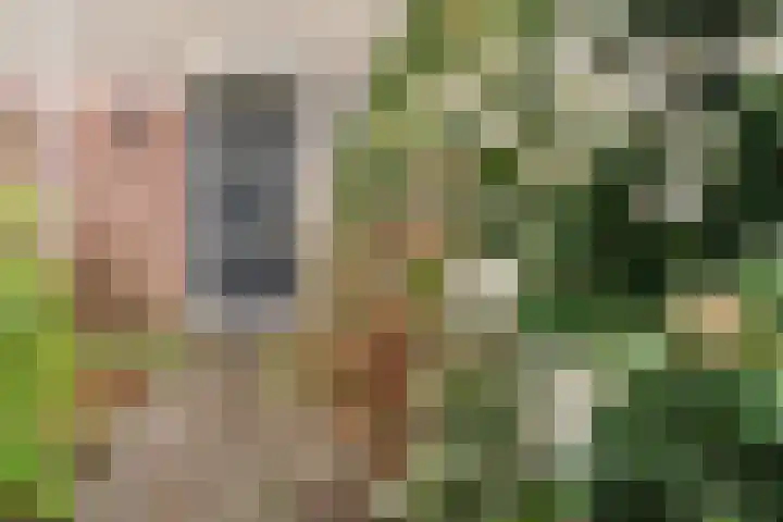 Heemsteres 35 Den Ham thumbnail 32