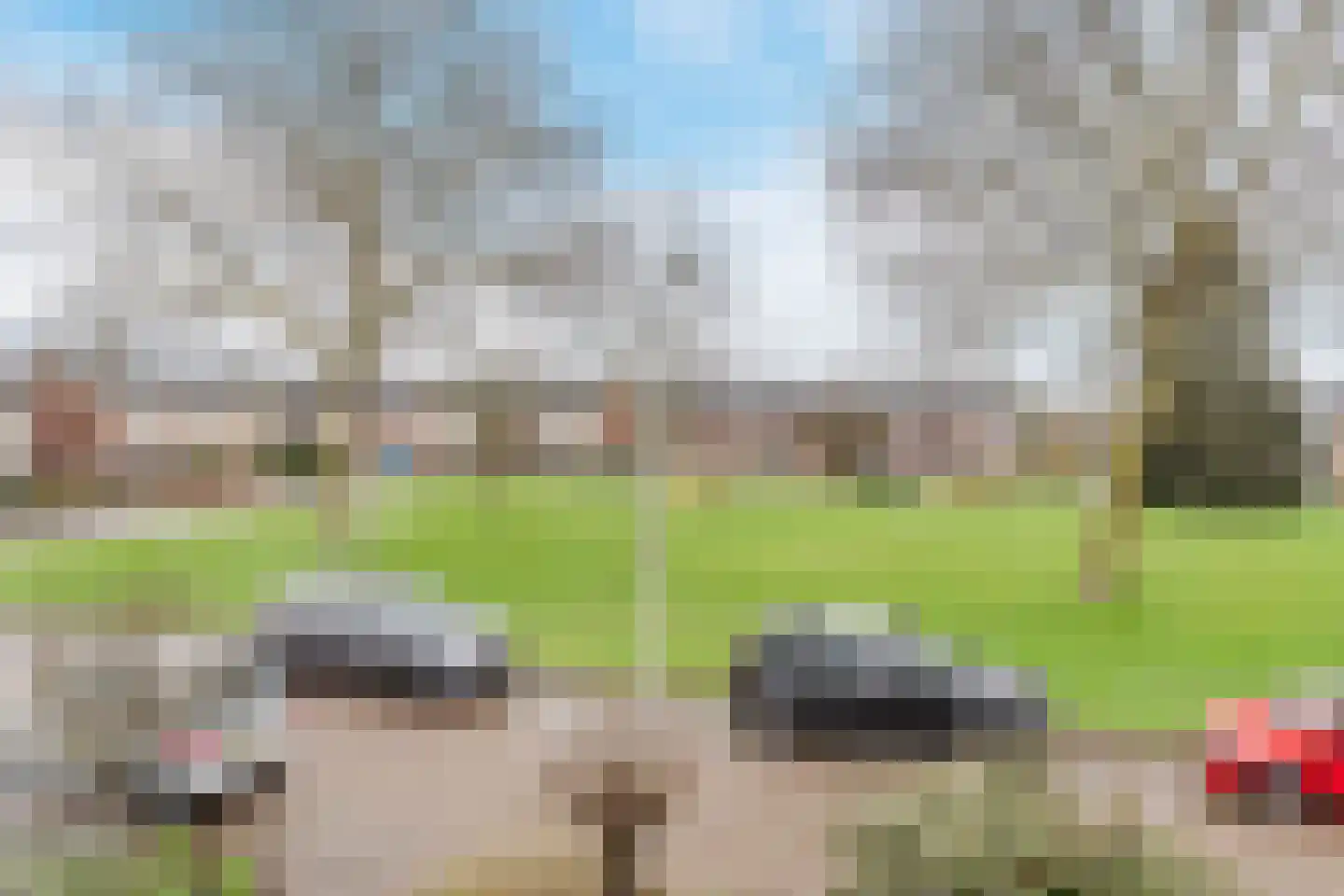 Heemsteres 35 Den Ham thumbnail 33