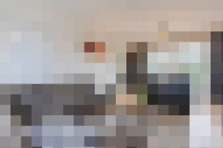 Heemsteres 35 Den Ham thumbnail 4