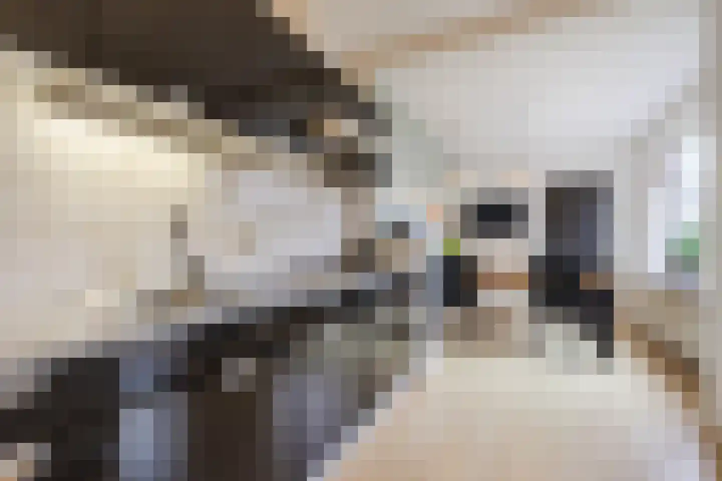 Heemsteres 35 Den Ham thumbnail 5