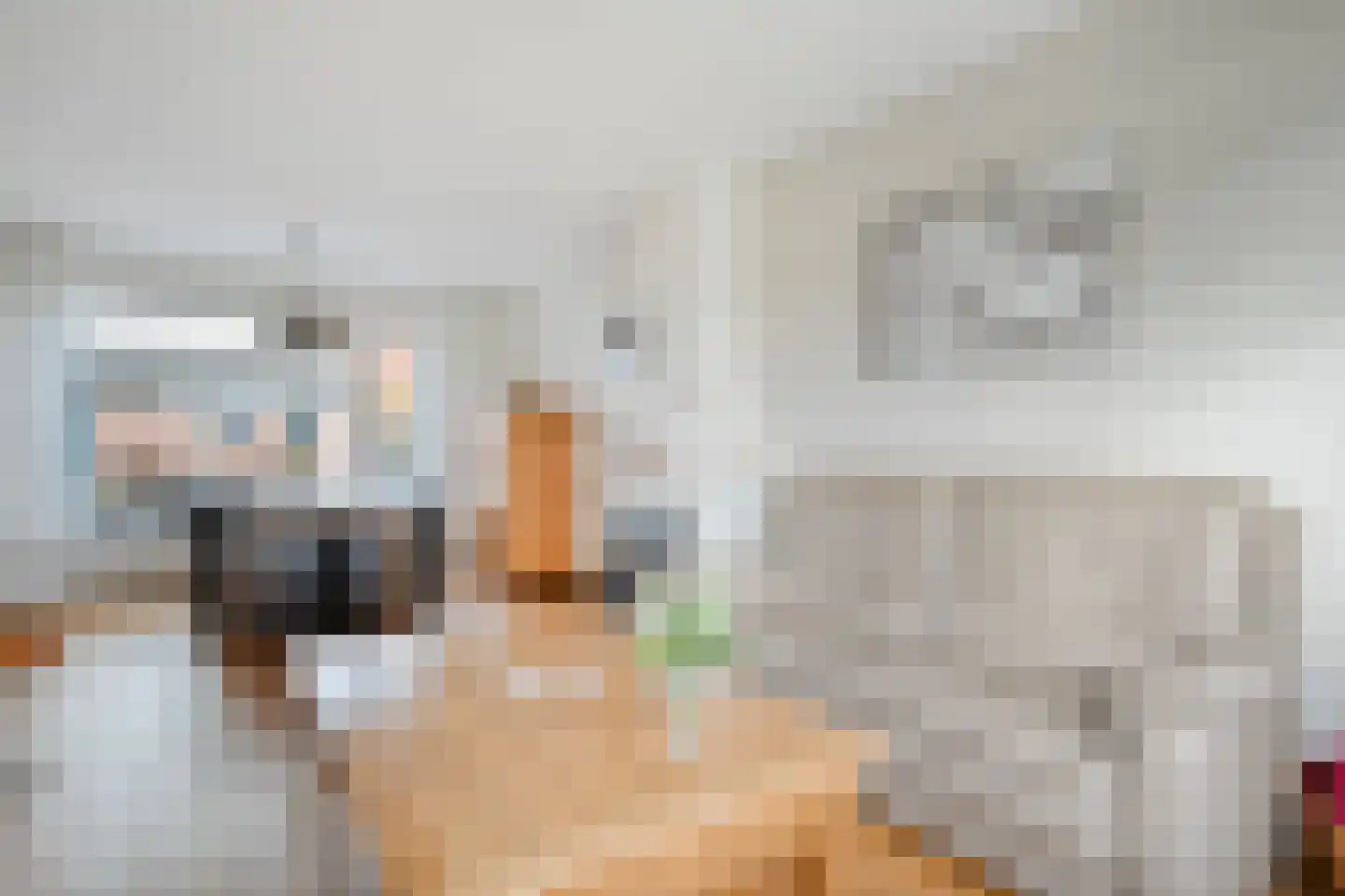 Heemsteres 57 Den Ham thumbnail 13