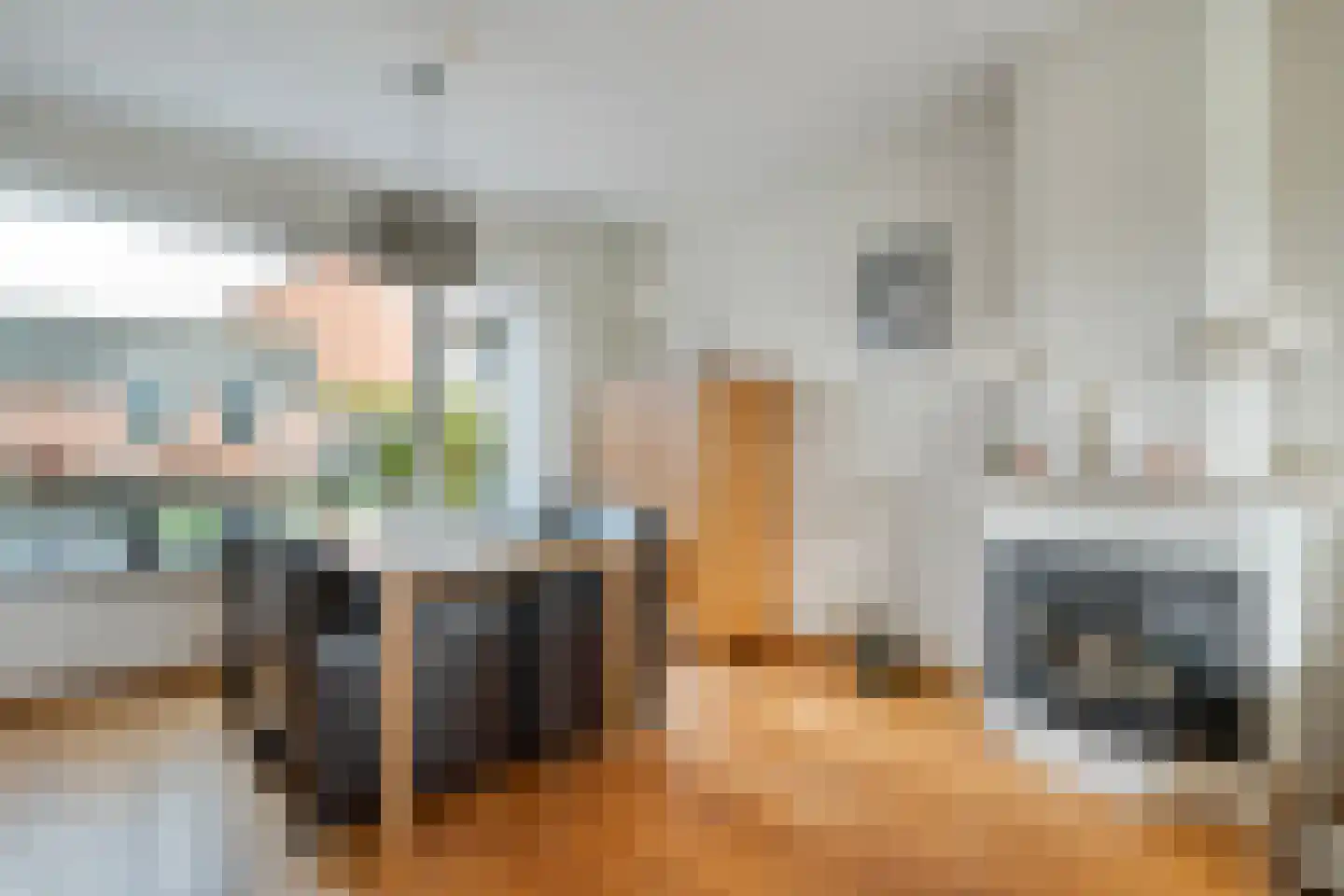 Heemsteres 57 Den Ham thumbnail 15